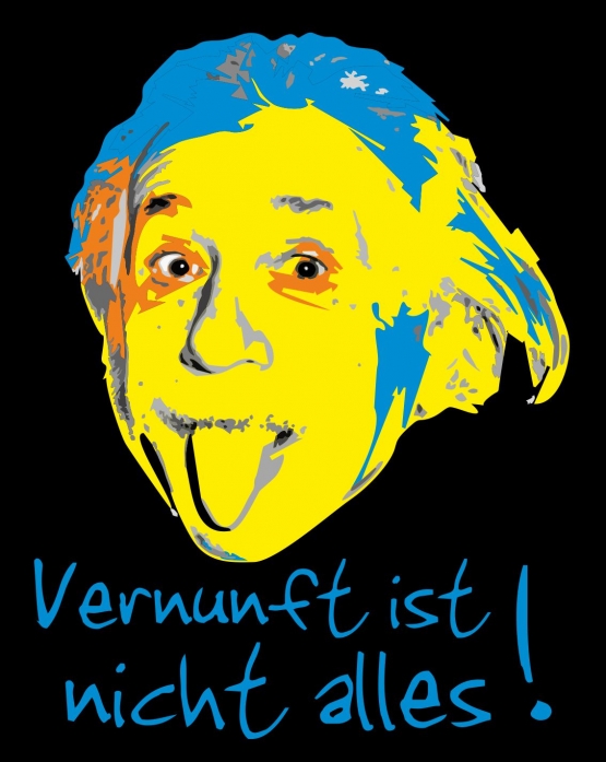 EINSTEIN - Vernunft ist nicht alles ! Farbig SUB T-SHIRT !  S M 