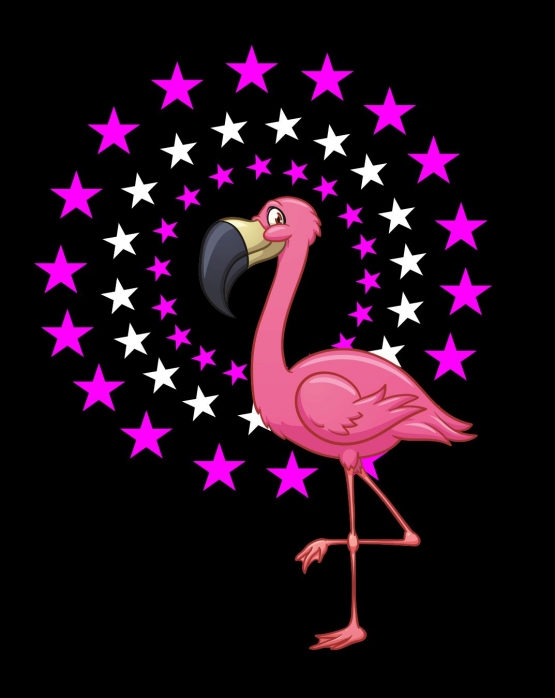 FLAMINGO STARS - FLAMINGO Sterne Kids Gr.116 128 140 152 cm Einschulung, erster Schultag, 1. Klasse, Kindergartenabschieds Shirt