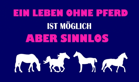 Ein Leben ohne Pferd ist möglich - aber sinnlos ! ! Mädchen Reiten Sweatshirt mit Kapuze SHERPA Hoodie Druck hinten ! Girls XXS XS S M L XL XXL  Voltegieren, Springreiten, Reitunterricht, Reitturnier Druck hinten !