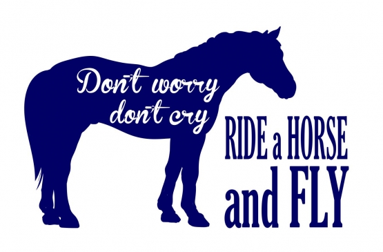 DONT WORRY DONT CRY - RIDE A HORSE AND FLY ! Hoodie Sweatshirt mit Kapuze Gr. 116 128 140 152 164 cm Reiten Pferde