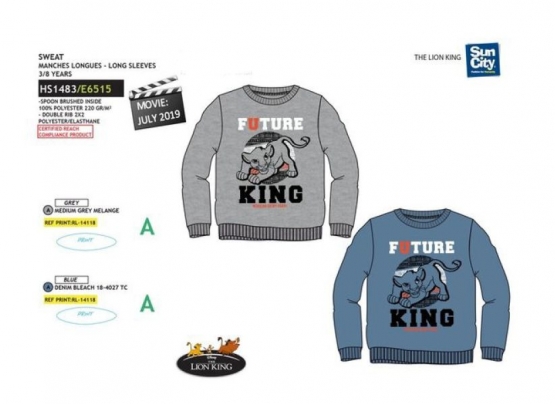 König der Löwen Sweatshirt  Kinder 3 4 6 8 Jahre 98 104 110 116 128 cm grau oder blau