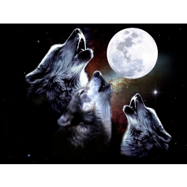 3 WOLF MOON Hoodie Sweatshirt mit Kapuze schwarz