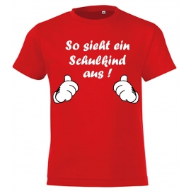 So sieht ein Schulkind aus ! T-SHIRT Kids Gr.116 128 140 152 cm Einschulung, erster Schultag, 1. Klasse, Kindergartenabschied Pullover