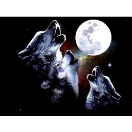 THREE MOON WOLF -T-SHIRT SHIRT 3MOONWOLF